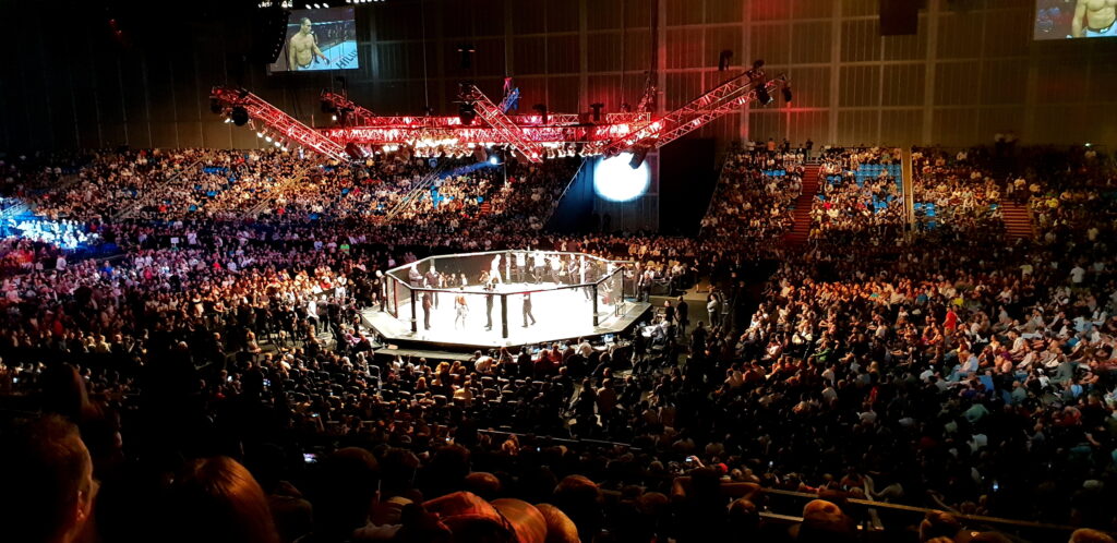 ufc and mma at intertops